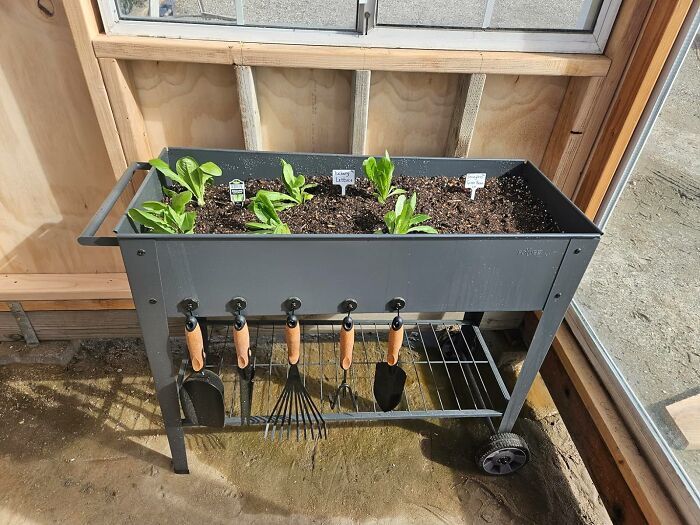Give Mom The Gift Of Gardening Joy With A Raised Planter Box, Perfect For Nurturing Her Green Thumb