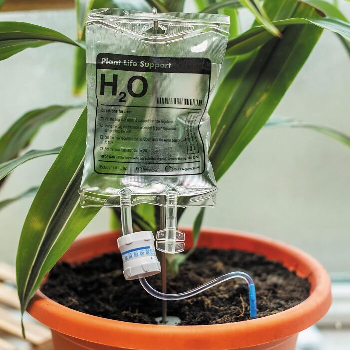 Give Your Plants The 'Hollywood' Treatment With Plant H2o Life Support. Cause Watering The Old-Fashioned Way Is So Last Season!