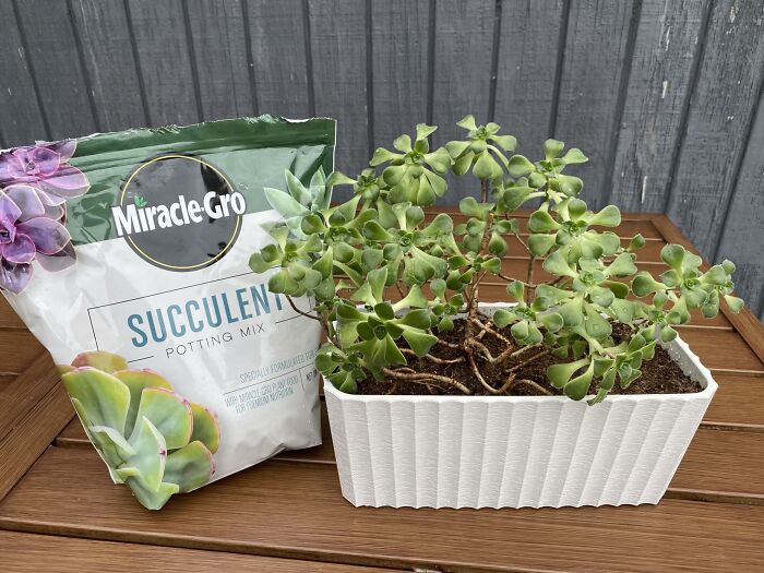 Elevate Your Indoor Oasis: Miracle-Gro Potting Mix For Healthy, Happy Plants!