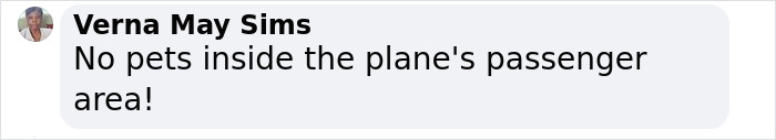 “Total BS”: Passengers Tired Of “Fake Service Dogs” Causing Trouble On Flights “Total BS”: Passengers Tired Of “Fake Service Dogs” Causing Trouble On Flights