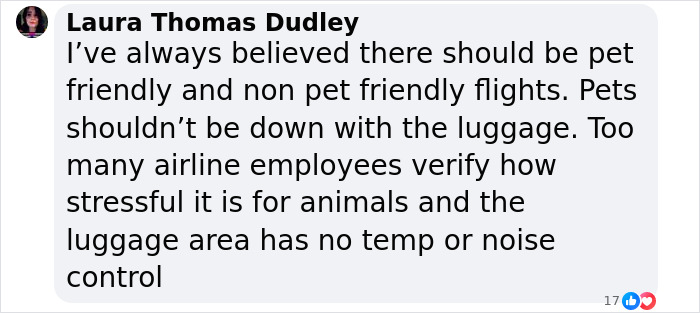 “Total BS”: Passengers Tired Of “Fake Service Dogs” Causing Trouble On Flights