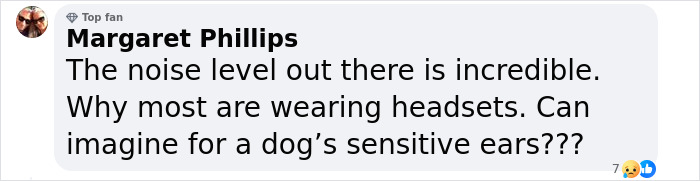 Mass Outrage After Airline Caught Leaving Pet Crates In The Rain Mass Outrage After Airline Caught Leaving Pet Crates In The Rain