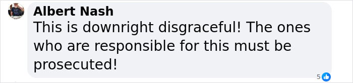 Mass Outrage After Airline Caught Leaving Pet Crates In The Rain Mass Outrage After Airline Caught Leaving Pet Crates In The Rain