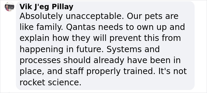 Mass Outrage After Airline Caught Leaving Pet Crates In The Rain Mass Outrage After Airline Caught Leaving Pet Crates In The Rain