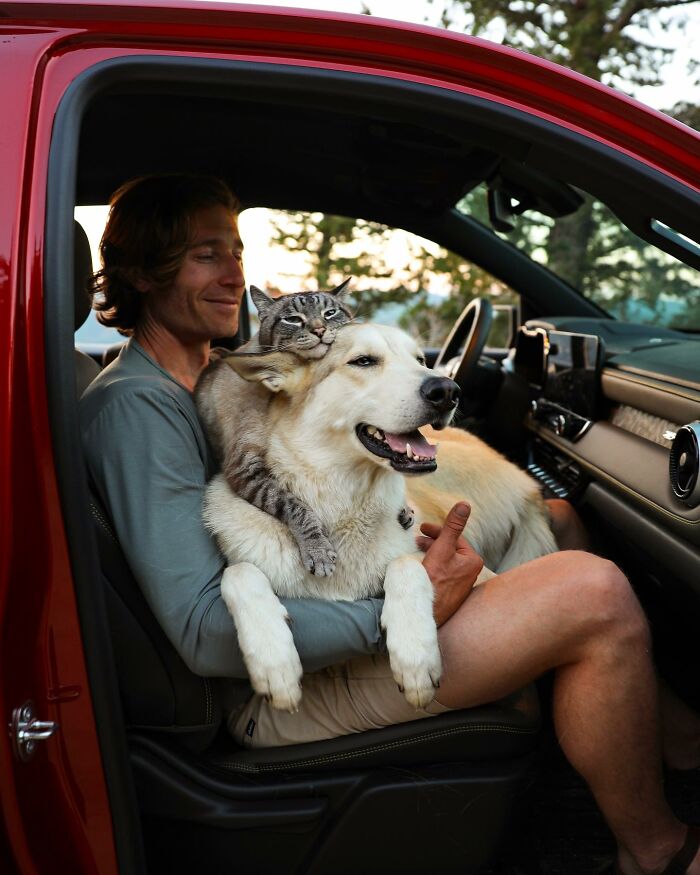 Adventures With Henry And Baloo: A Cat And Dog Duo's Epic Journey (New Pics)