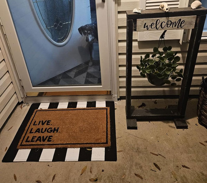 What We Need: Doormats With Non-Slip Backing That Say "Live Laugh Leave". Hospitality Plus Sarcasm