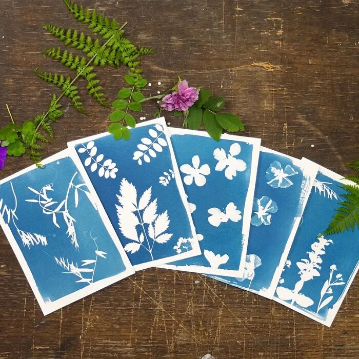 Sun's Out, Prints Out! Let Your Artsy Friend Play With Light And Shadow On This Magic Cyanotype Paper For Those DIY Vibes!