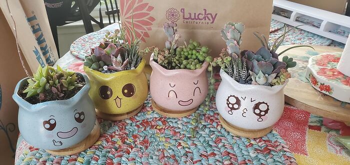 Plant Smiles All Around With These Facey Ceramic Succulent Planters