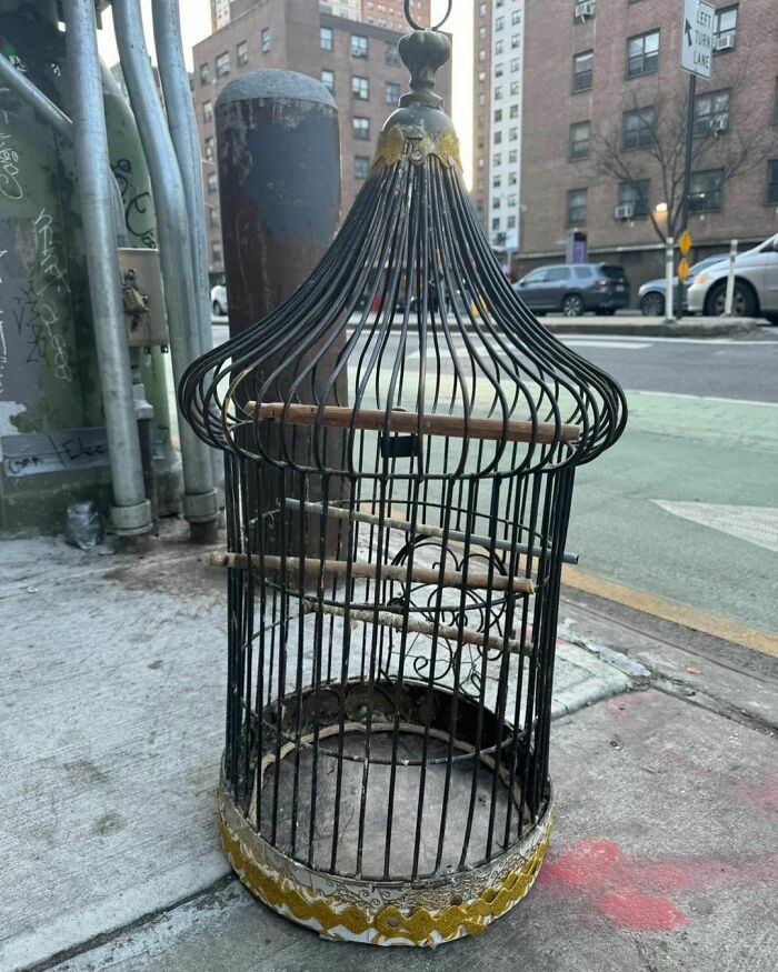 Even If You Don’t Have A Bird I’d Take This. 9th Ave Between 18th/19th