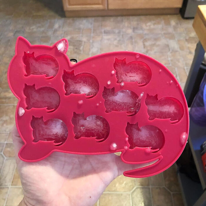 Make Every Drink Meow-Tastic With Cat Shaped Silicone Ice Mold