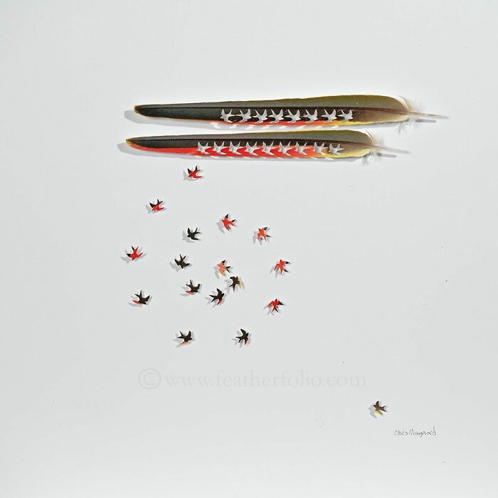 Feathered Fantasies: The Exquisite Avian Artistry Of Chris Maynard (New Pics)