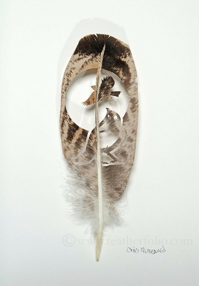 Feathered Fantasies: The Exquisite Avian Artistry Of Chris Maynard (New Pics)