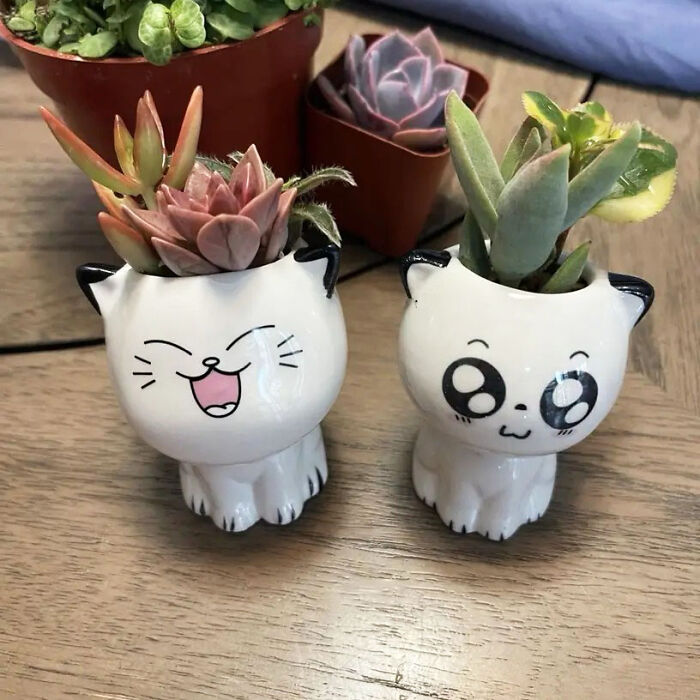 Decor That Purrs - Spruce Up Green Spaces With Cat Cartoon Pots