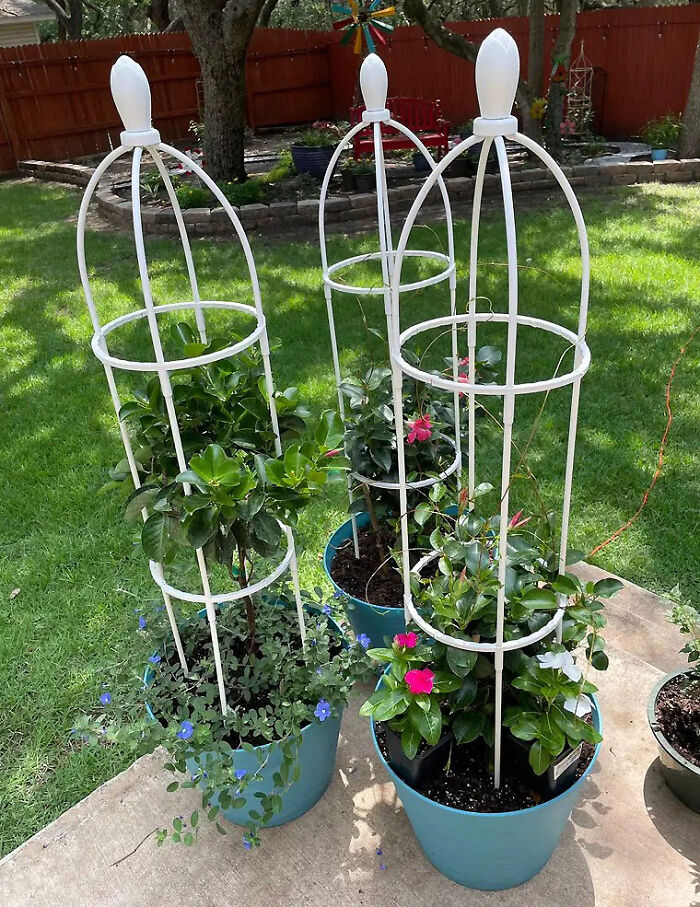 Vines Climb, Flowers Flourish: Elevate Your Garden With A Lightweight Plant Support Tower