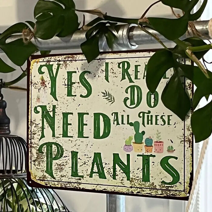 Declare Your Botanical Obsession With A 'Yes I Really Do Need All These Plants' Funny Sign