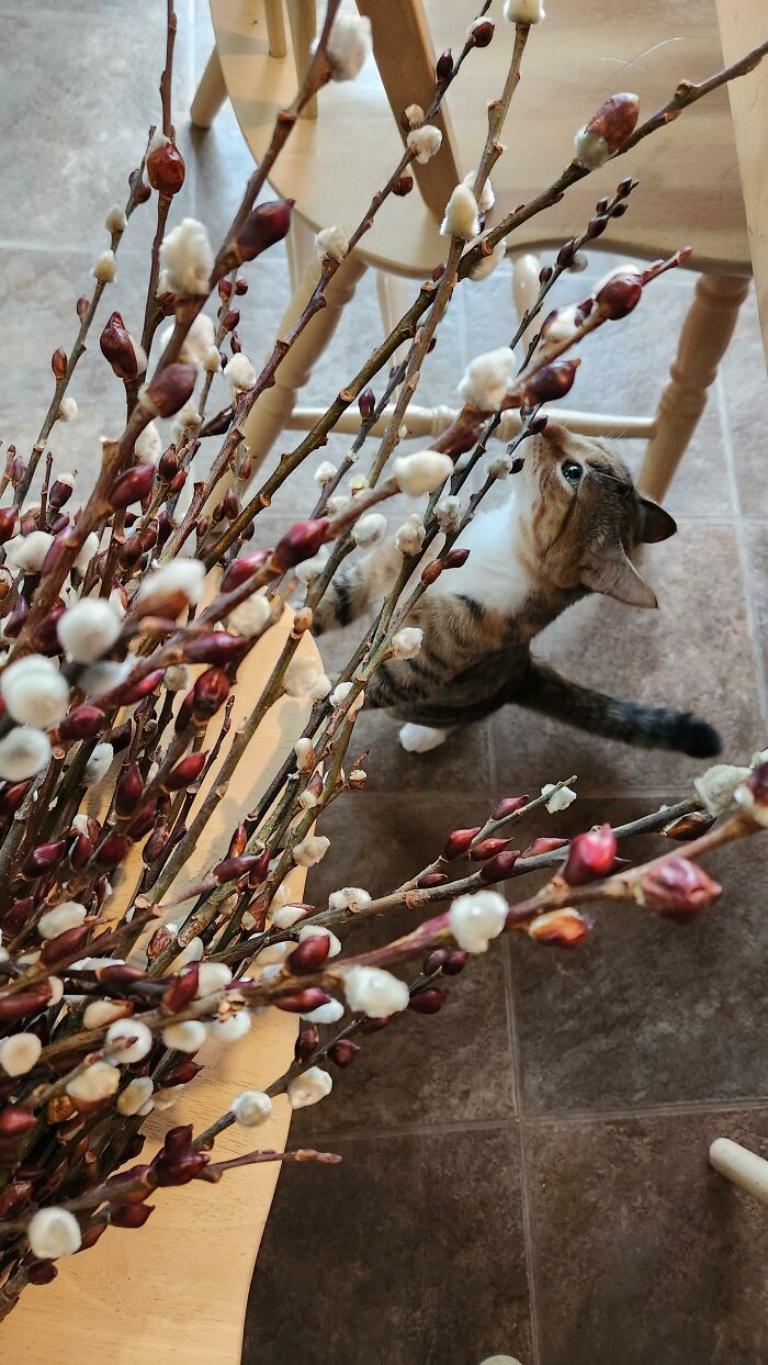 I Love Her Eyes In This One!!