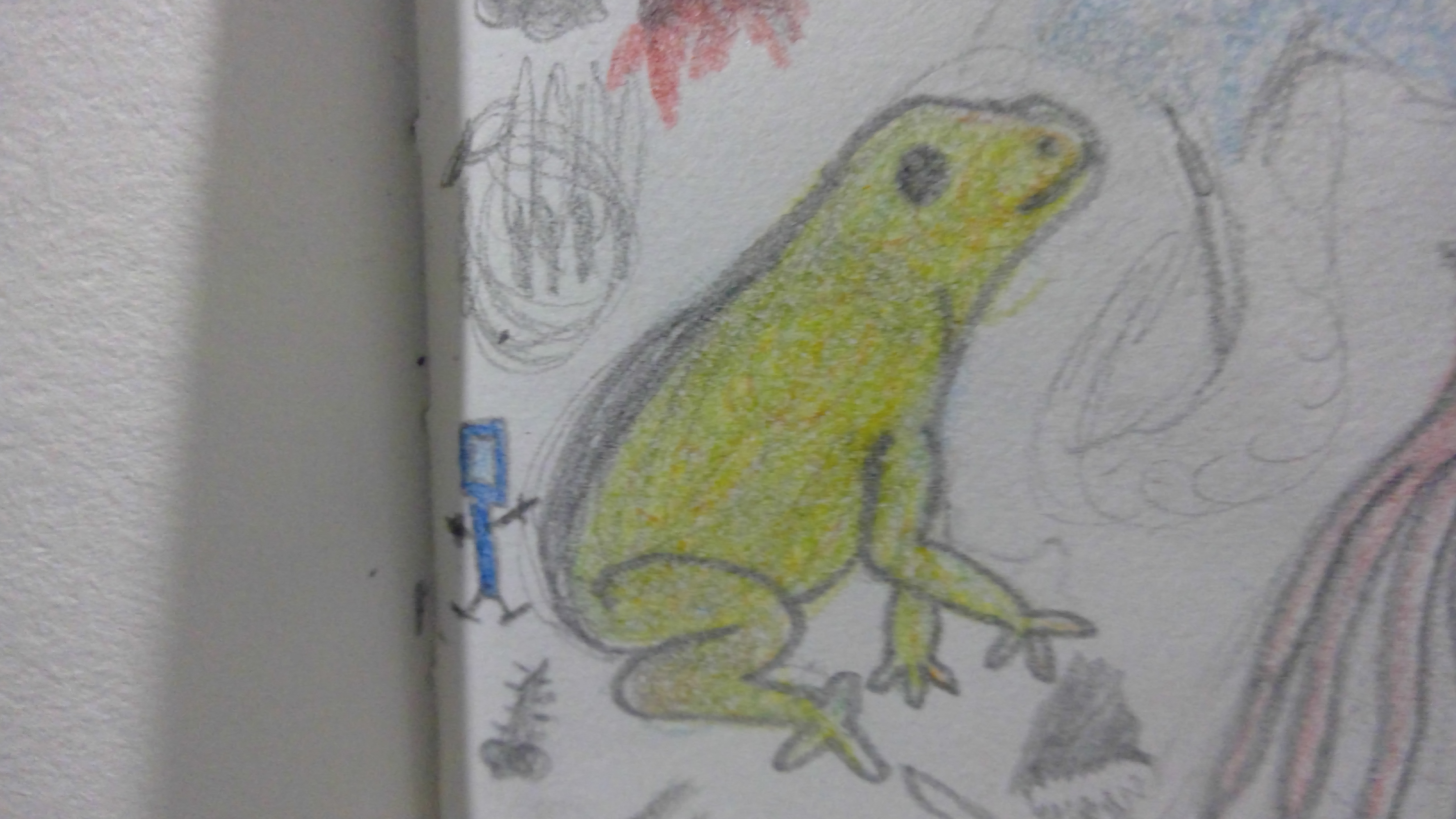 Hey Pandas, Draw A Frog
