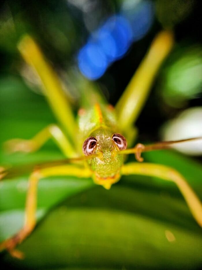 27 Stunning Shots Taken With A Phone Camera By These Winners Of MPA 27 Stunning Shots Taken With A Phone Camera By These Winners Of MPA