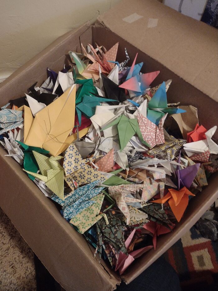 These Are Paper Cranes, Yes I Folded Them All
