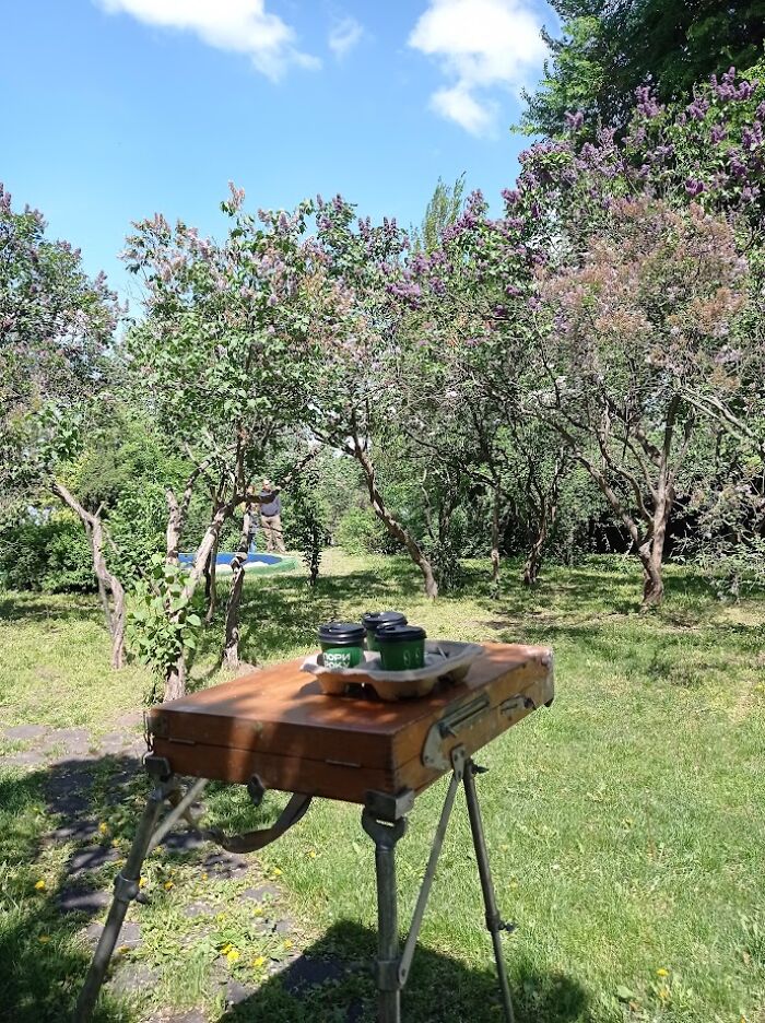My Friends And I Went To An Art Plein Air With A Lilac Landscape (15 Pics)