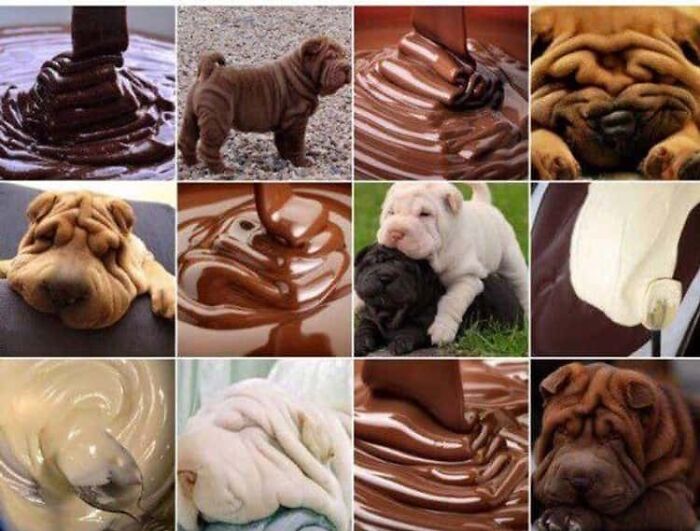 Funny Pictures Comparing Animals To Food