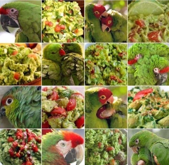 Funny Pictures Comparing Animals To Food