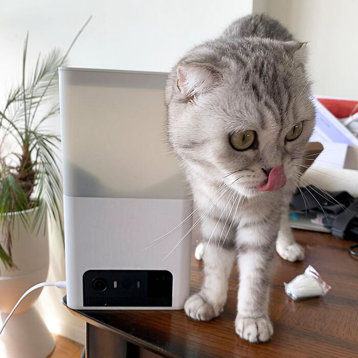 Treat Your Fur Babies From Afar With Interactive WiFi Pet Monitoring Camera And Treat Dispenser - Snack Time Anytime, Anywhere!