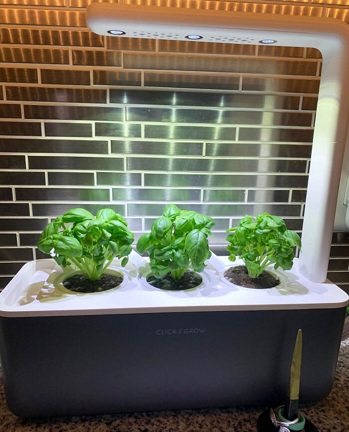 Who Needs Outsides Anyway? Click & Grow Smart Garden Makes Indoor Gardening A Breeze