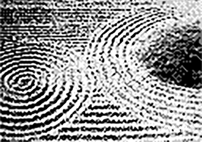 Japonism & Zen Japonism & Zen