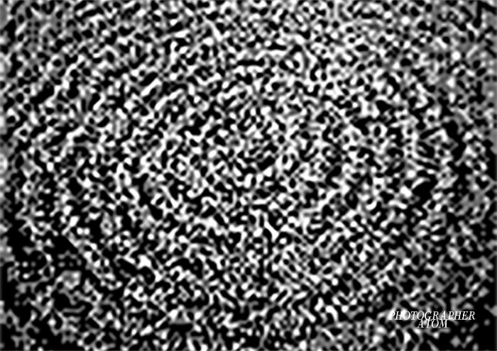 Japonism & Zen Japonism & Zen