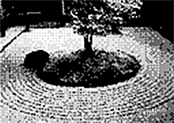 Japonism & Zen Japonism & Zen