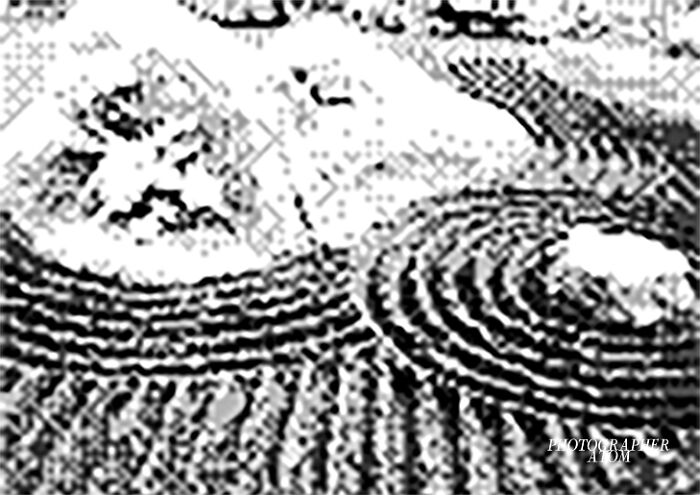 Japonism & Zen Japonism & Zen