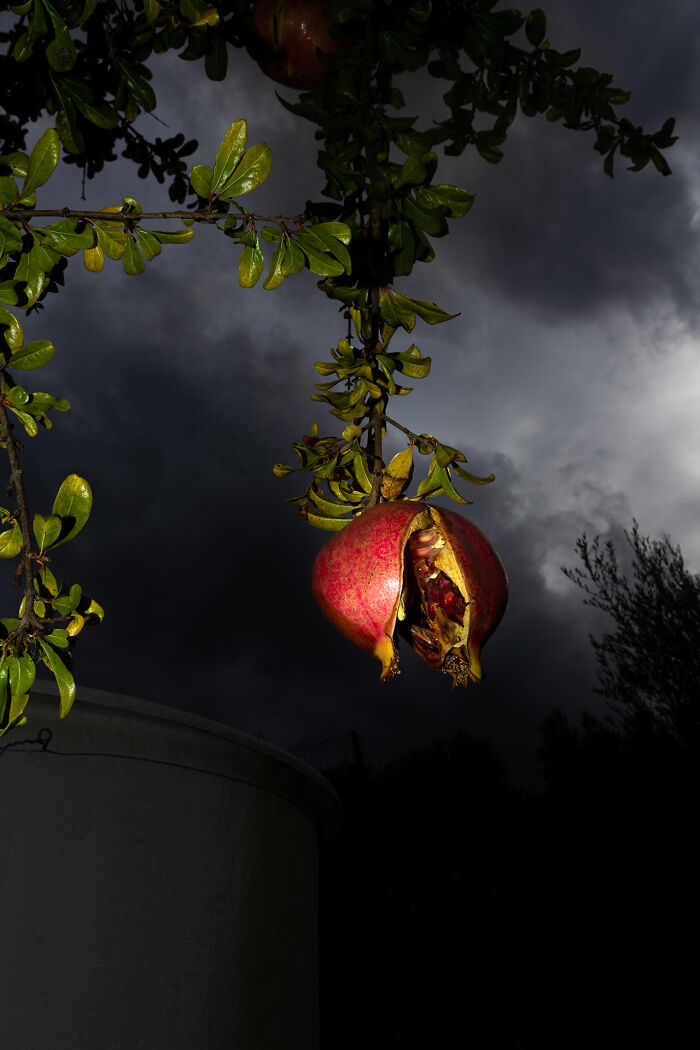 My Dream Of Publishing My Own Photography Book Is Almost A Reality! My Dream Of Publishing My Own Photography Book Is Almost A Reality!