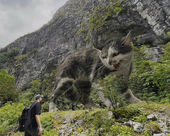 Pawsitively Epic: Russian Artist Envisions A Giant Feline World In New Series ( New Pics)