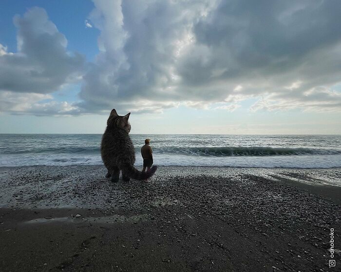 Pawsitively Epic: Russian Artist Envisions A Giant Feline World In New Series ( New Pics)