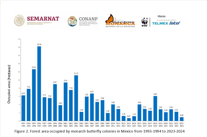 Unable To Migrate To Mexico, A Monarch Butterfly Found A New Home With A Loving Family In Canada Unable To Migrate To Mexico, A Monarch Butterfly Found A New Home With A Loving Family In Canada