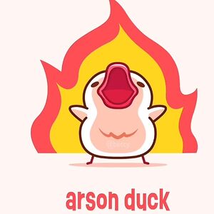Arson duck