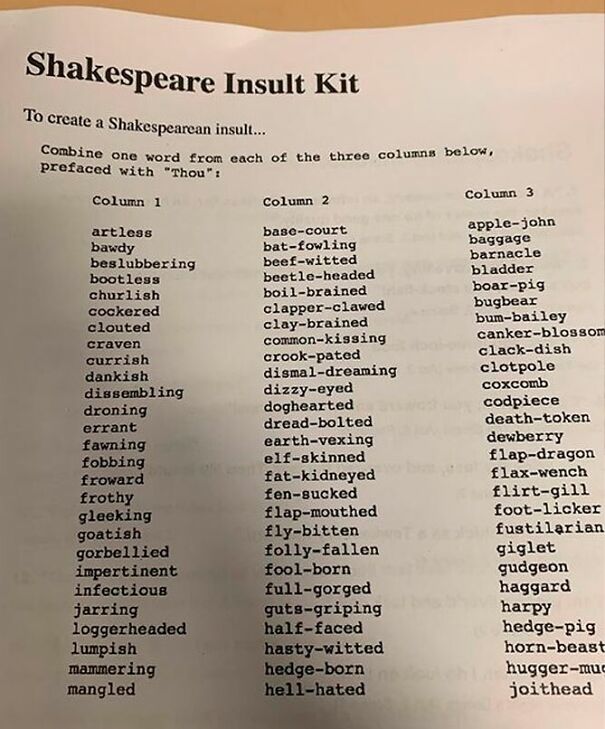 Shakespearean-Insult-Kit-662fed8153468.jpg