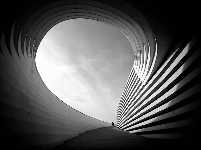 27 Stunning Shots Taken With A Phone Camera By These Winners Of MPA 27 Stunning Shots Taken With A Phone Camera By These Winners Of MPA