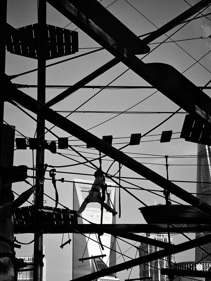 27 Stunning Shots Taken With A Phone Camera By These Winners Of MPA 27 Stunning Shots Taken With A Phone Camera By These Winners Of MPA