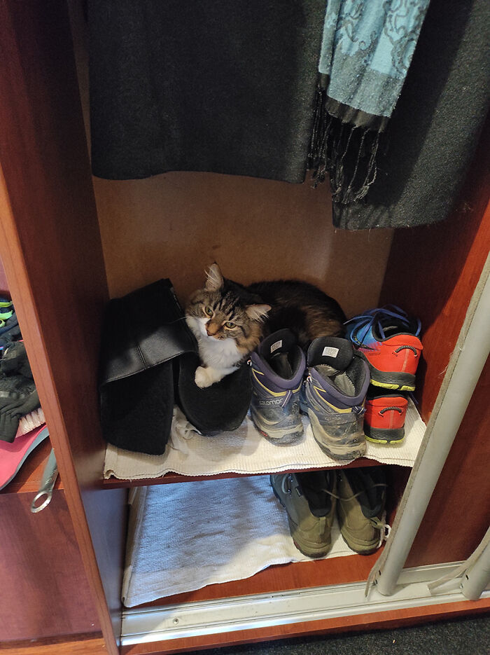 Aroh Is Still In The Closet, But We're Working On It
