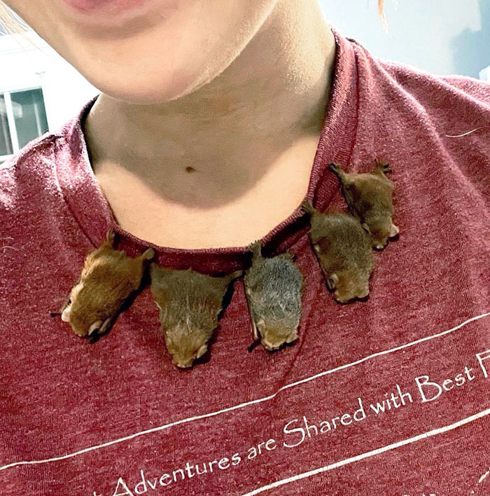 Nothing Is Cooler Than A Rescued Baby Bat Necklace