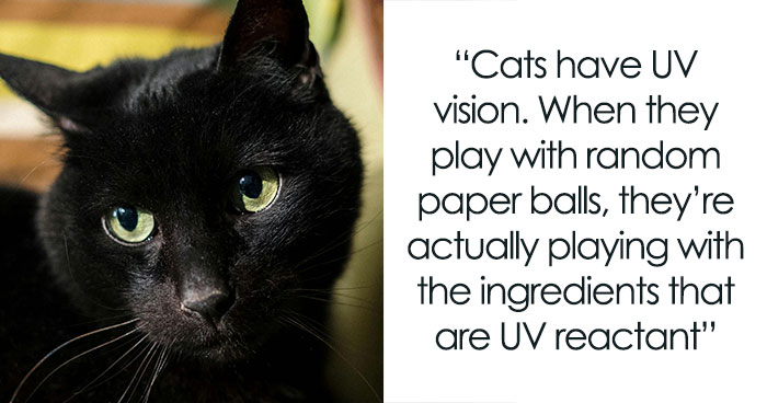 People Are Sharing Their Favorite Animal Facts That Never Cease To Amaze Them