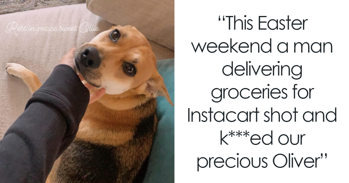 “Yeah, I Shot Your Dog”: Angie Harmon “Traumatized” After Instacart Driver Kills Family Pet