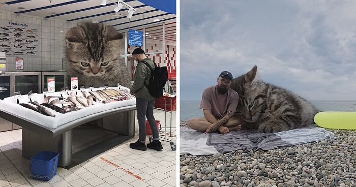 Artist Photoshops Giant Cats Into His Photos, Creating A Surreal World (30 New Pics)