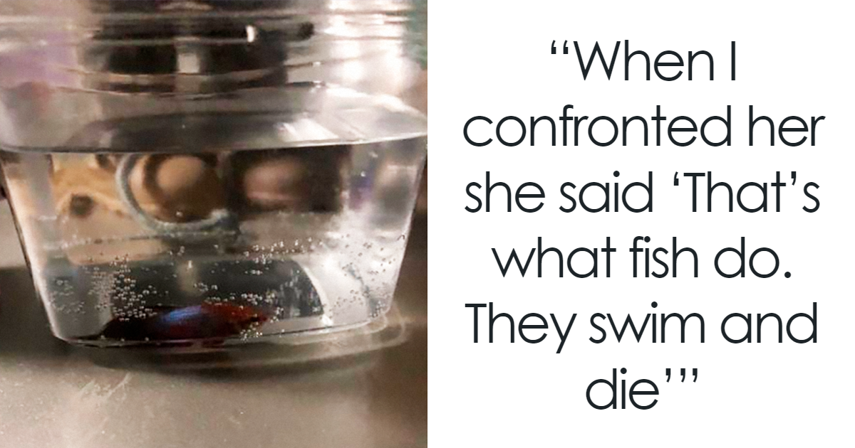 "They Swim And Die": Aunt Refuses To Apologize For Ending Fish's Life, Screams When Karma Hits - Vimarsana News