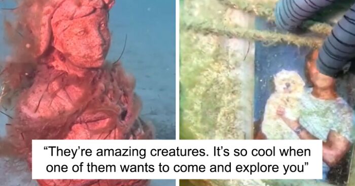 Octopus Leads Aussie Diver To Fascinating Underwater Shrine With Picture Of A Man