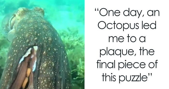 Octopus Leads Aussie Diver To Fascinating Underwater Shrine With Picture Of A Man