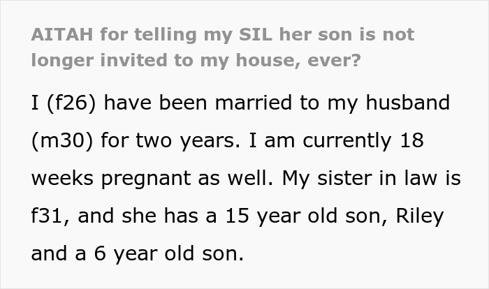 Woman Ponders: "AITAH For Telling My SIL Her Son Is No Longer Invited To My House, Ever?"
