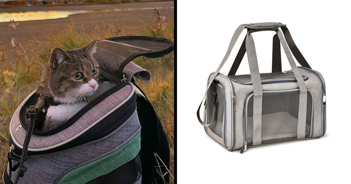 Best Cat Carrier In 2024, Approved By A Vet
